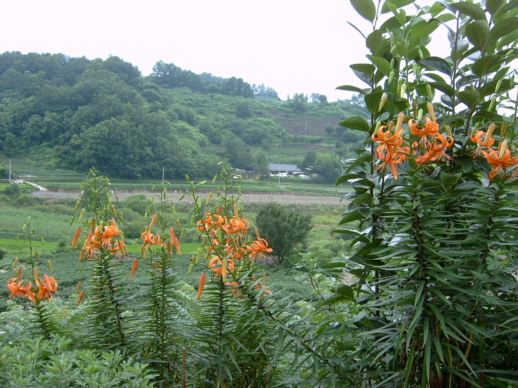 빛바람 이미지