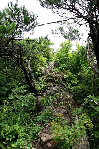 �̹����� Ŭ���ϸ� ������ ���� �� �ֽ��ϴ�.