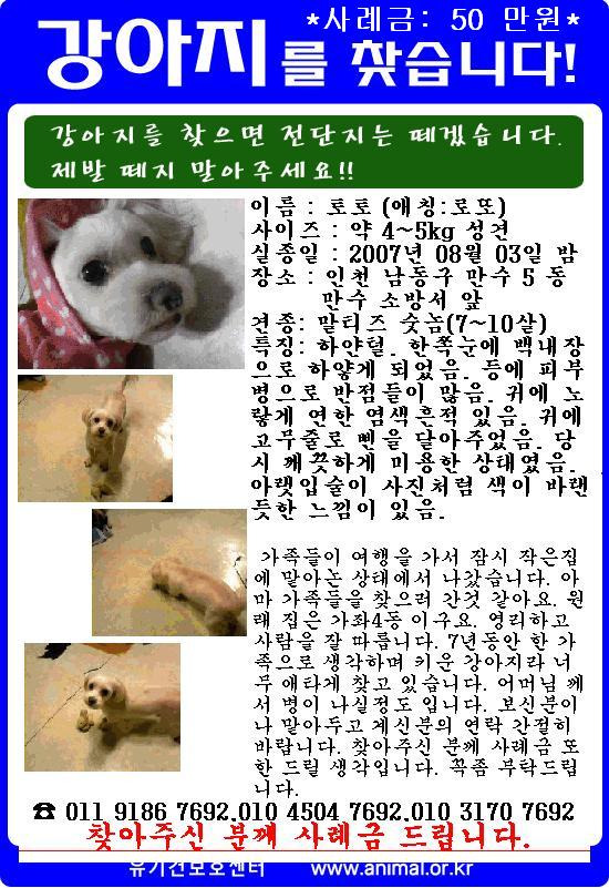 마르티스 이미지