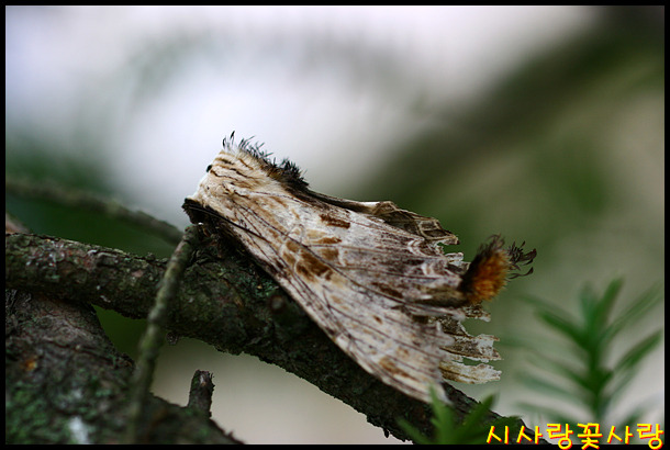 제천휴게소 이미지