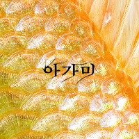 아가미 이미지