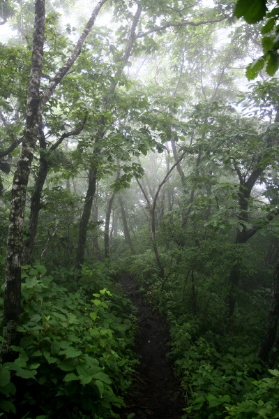 �̹����� Ŭ���ϸ� ������ ���� �� �ֽ��ϴ�.